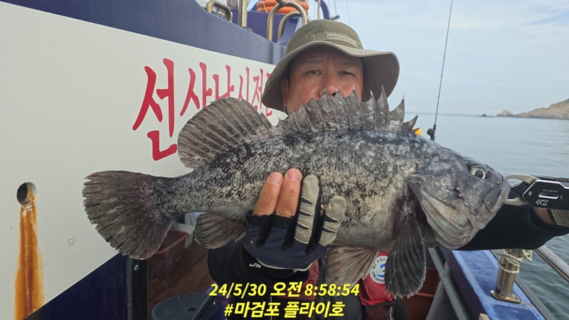 태안플라이호의 조황일지 이미지 - 14