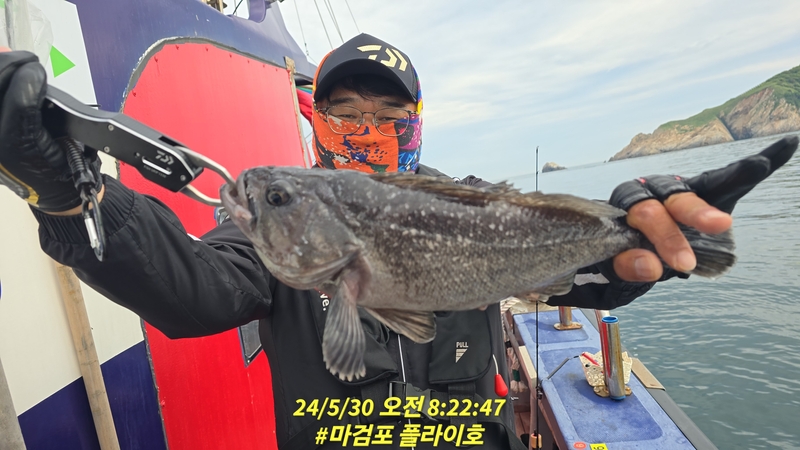 태안플라이호의 조황일지 이미지 - 16