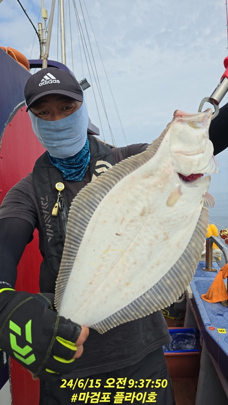 태안플라이호의 조황일지 이미지 - 4