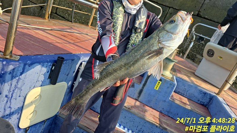 태안플라이호의 조황일지 이미지 - 1