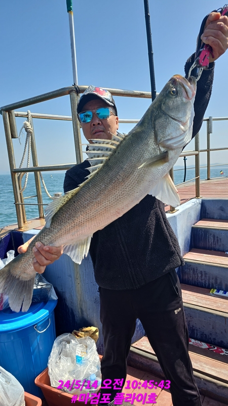 태안플라이호의 조황일지 이미지 - 0