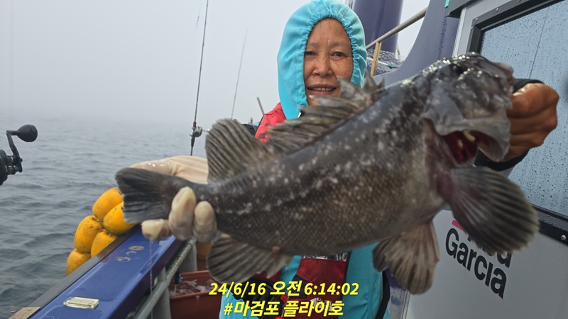 태안플라이호의 조황일지 이미지 - 18