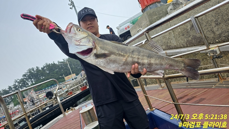 태안플라이호의 조황일지 이미지 - 2