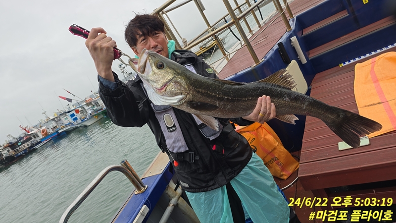 태안플라이호의 조황일지 이미지 - 5