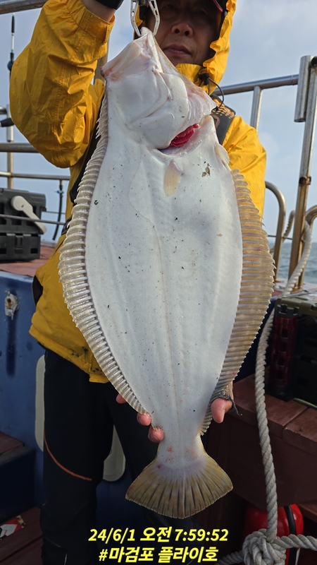 태안플라이호의 조황일지 이미지 - 4