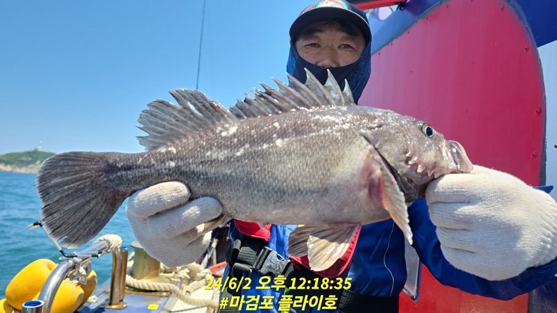 태안플라이호의 조황일지 이미지 - 5