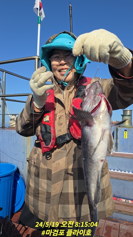 태안플라이호의 조황일지 이미지 - 19