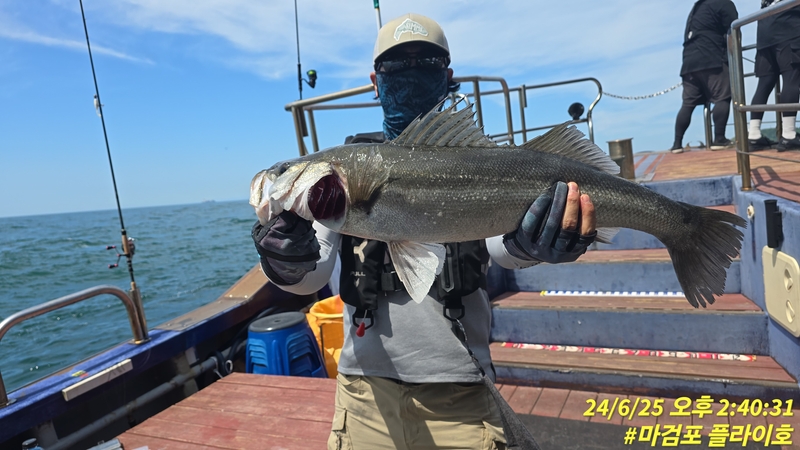 태안플라이호의 조황일지 이미지 - 11