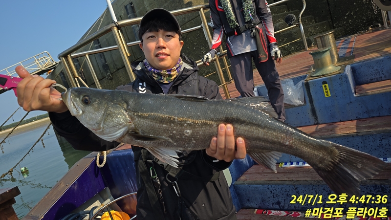 태안플라이호의 조황일지 이미지 - 0