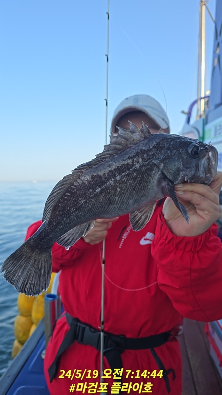 태안플라이호의 조황일지 이미지 - 18