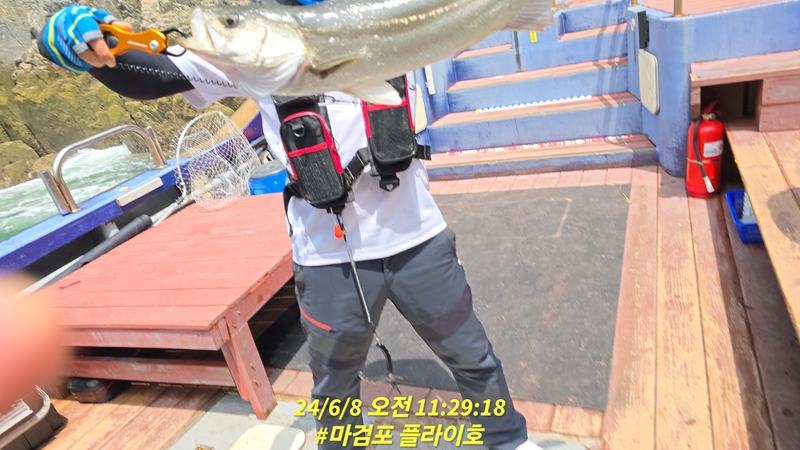 태안플라이호의 조황일지 이미지 - 4