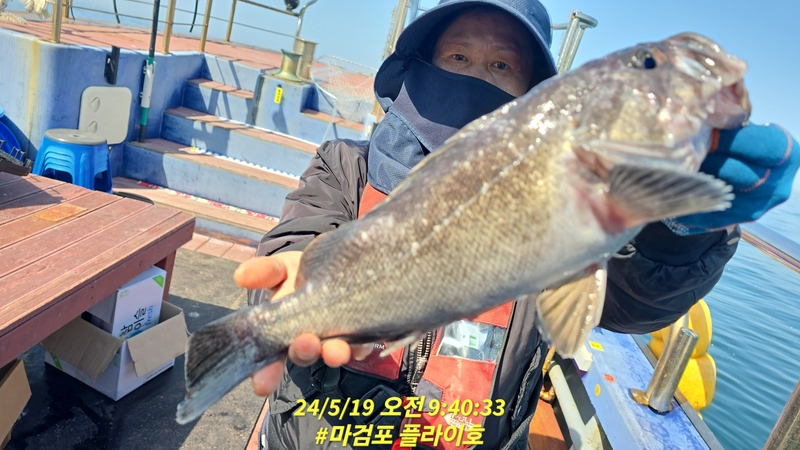 태안플라이호의 조황일지 이미지 - 15