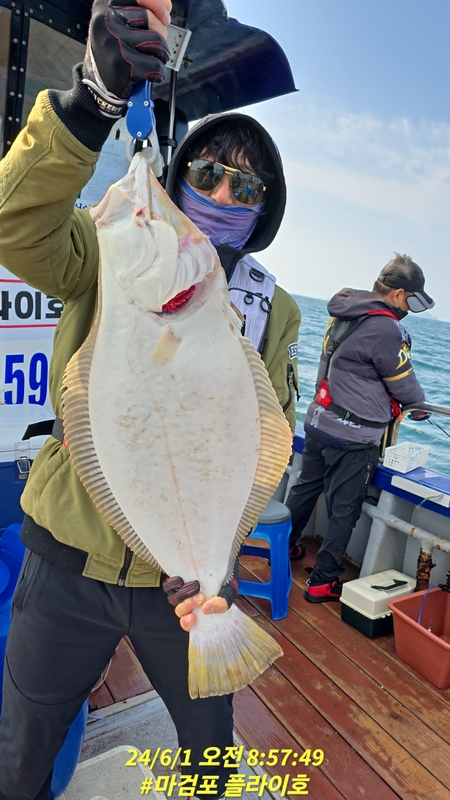 태안플라이호의 조황일지 이미지 - 3