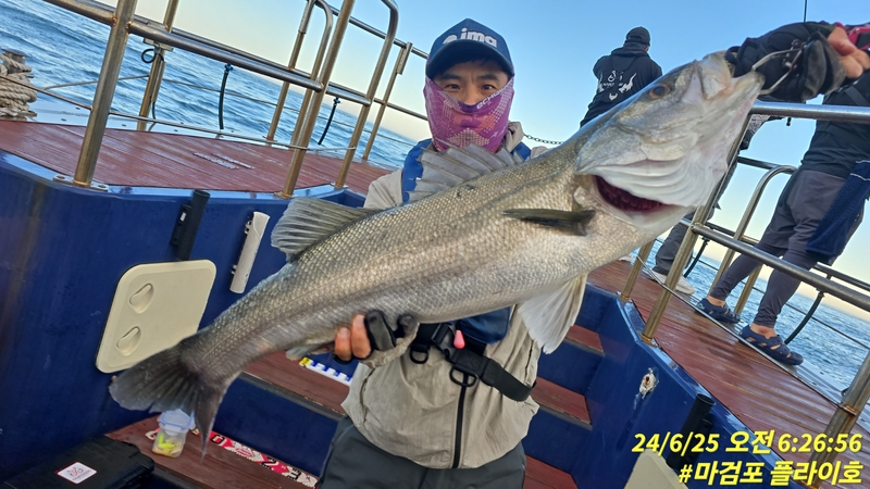 태안플라이호의 조황일지 이미지 - 17