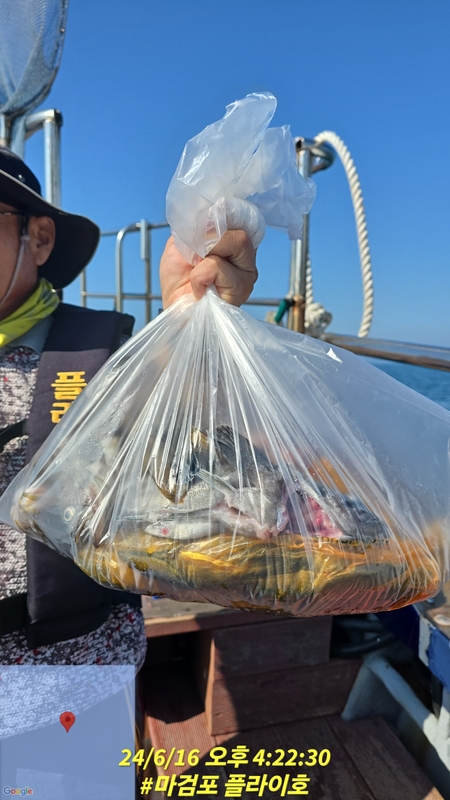 태안플라이호의 조황일지 이미지 - 4