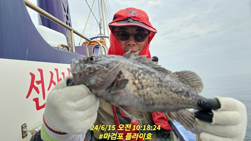 태안플라이호의 조황일지 이미지 - 3