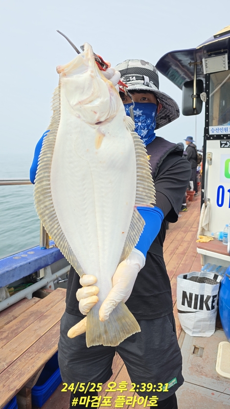 태안플라이호의 조황일지 이미지 - 2