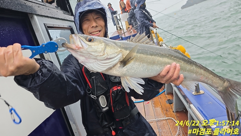 태안플라이호의 조황일지 이미지 - 2