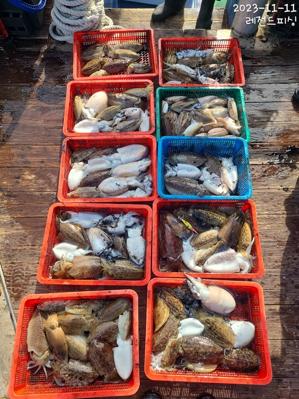 레전드피싱의 조황일지 이미지 - 0