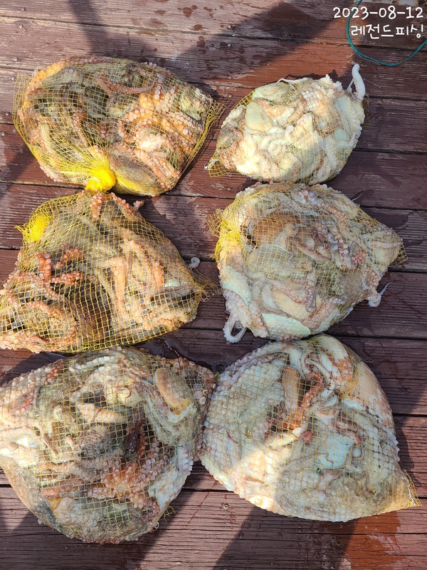 레전드피싱의 조황일지 이미지 - 5