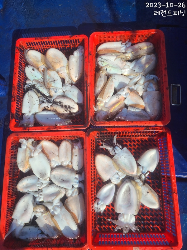 레전드피싱의 조황일지 이미지 - 0