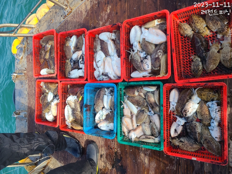 레전드피싱의 조황일지 이미지 - 6