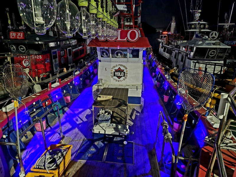 해당 선사를 대표하는 이미지