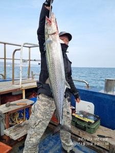 대삼치 5마리 조황 선상낚시로 잡은 물고기 조황