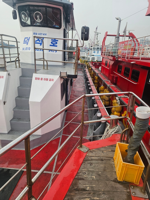 해당 선사를 대표하는 이미지