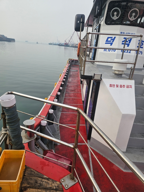 해당 선사를 대표하는 이미지