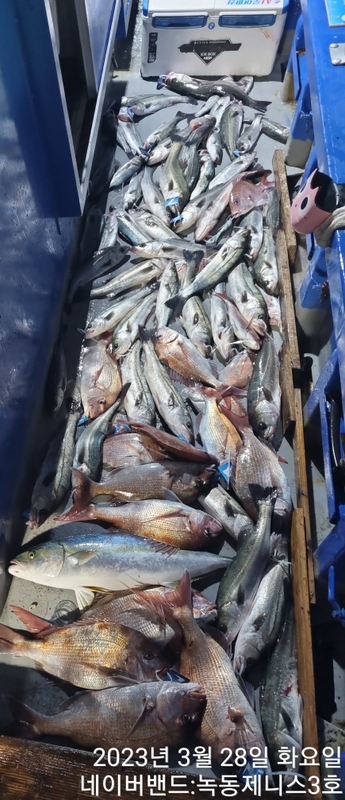 해당 선사를 대표하는 이미지