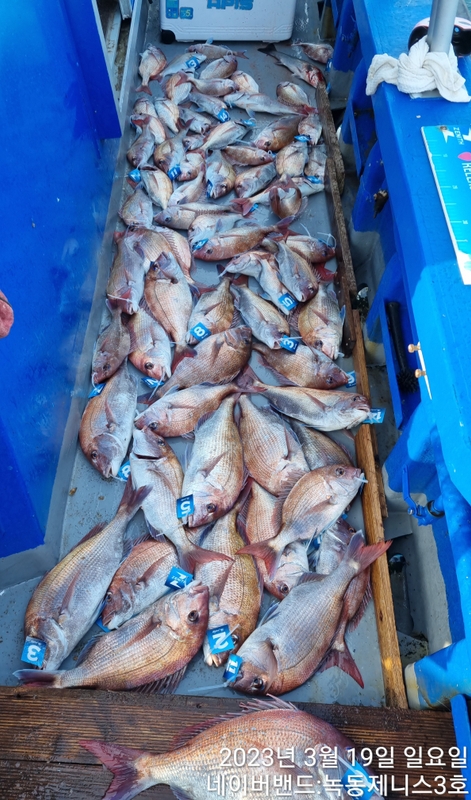 해당 선사를 대표하는 이미지