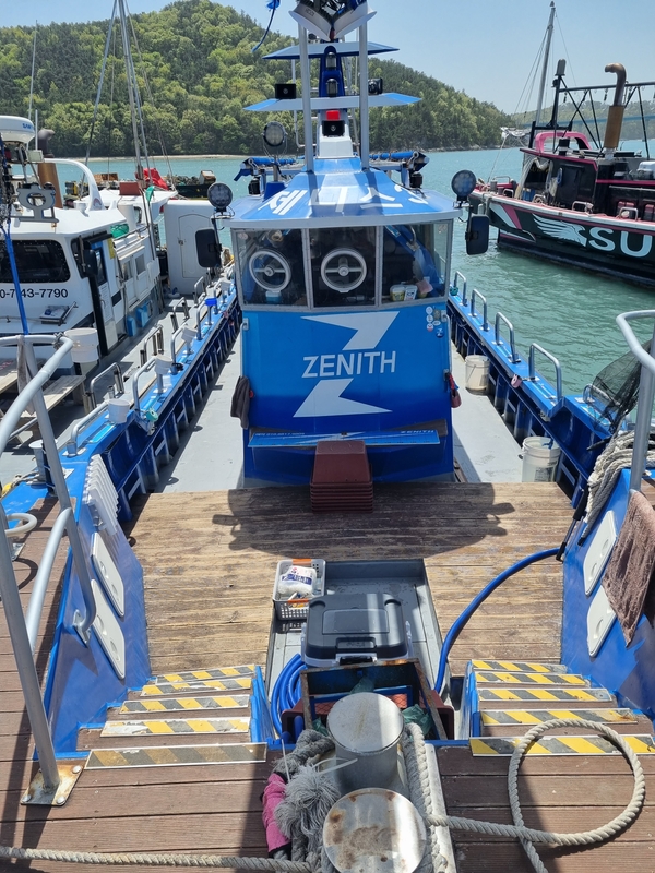 해당 선사를 대표하는 이미지