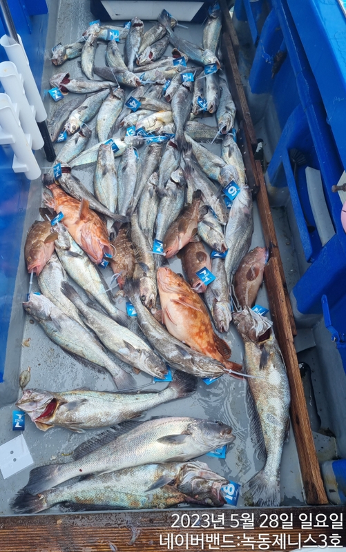 해당 선사를 대표하는 이미지