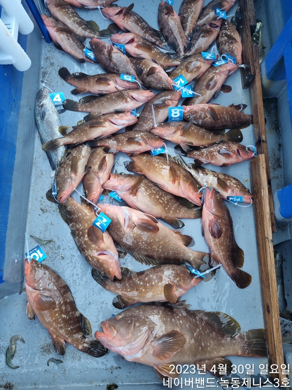 해당 선사를 대표하는 이미지