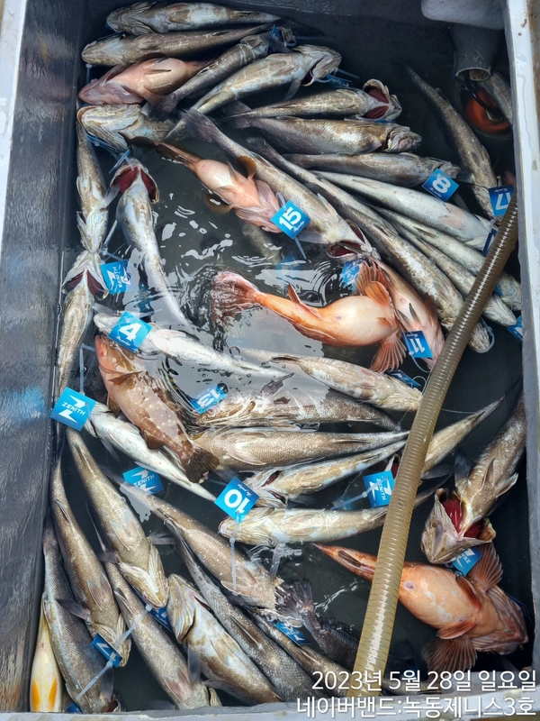 해당 선사를 대표하는 이미지