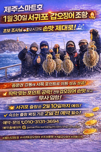 서귀포갑오징어조황  선상낚시로 잡은 물고기 조황