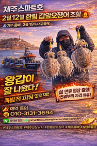 한림갑오징어조황  선상낚시로 잡은 물고기 조황