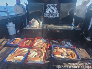 서귀포갑오징어대박조황 선상낚시로 잡은 물고기 조황