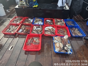 서귀포갑오징어조황  선상낚시로 잡은 물고기 조황