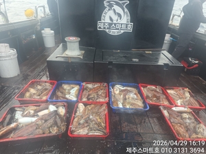 왕갑이 대박조황 선상낚시로 잡은 물고기 조황