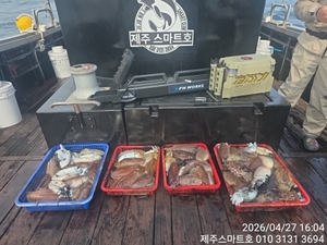 서귀포갑오징어대박조황 선상낚시로 잡은 물고기 조황