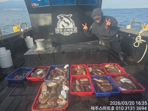 서귀포갑오징어조황  선상낚시로 잡은 물고기 조황