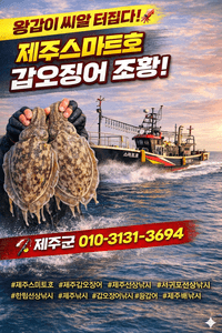 제주스마트호 서귀포갑오징어조황  선상낚시로 잡은 물고기 조황