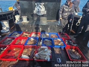 서귀포갑오징어조황  선상낚시로 잡은 물고기 조황