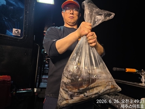 한치조황 선상낚시로 잡은 물고기 조황