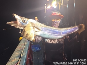 제주스마트호 갈치조황  선상낚시로 잡은 물고기 조황
