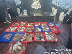 한림갑오징어조황  선상낚시로 잡은 물고기 조황