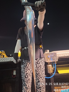 제주스마트호 갈치텐빈조황  선상낚시로 잡은 물고기 조황