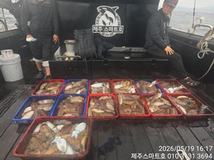 서귀포갑오징어조황  선상낚시로 잡은 물고기 조황